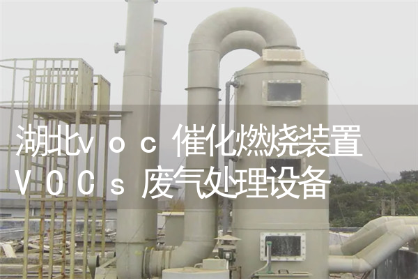 湖北voc催化燃烧装置 VOCs废气处理设备